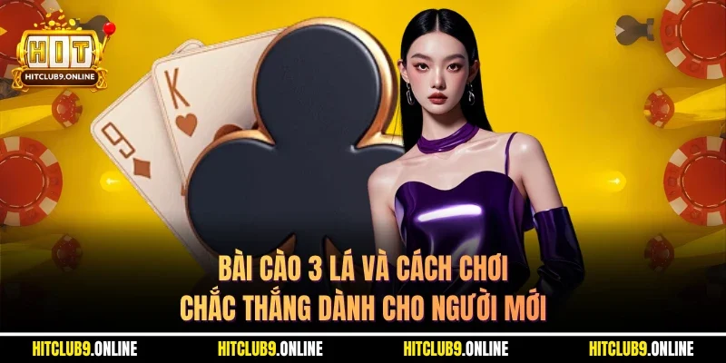 Bài Cào 3 Lá Và Cách Chơi Chắc Thắng Dành Cho Người Mới