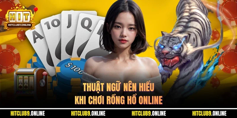 Thuật ngữ nên hiểu khi chơi Rồng Hổ online